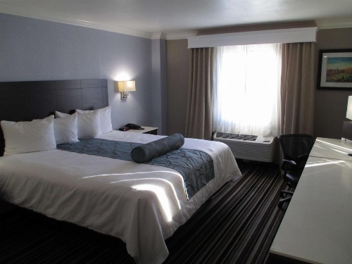 Best Western Plus Diamond Valley Inn image 5