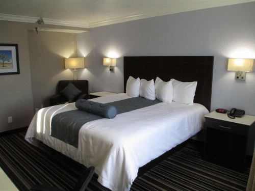 Best Western Plus Diamond Valley Inn image 6
