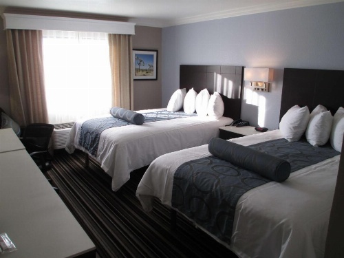 Best Western Plus Diamond Valley Inn image 7